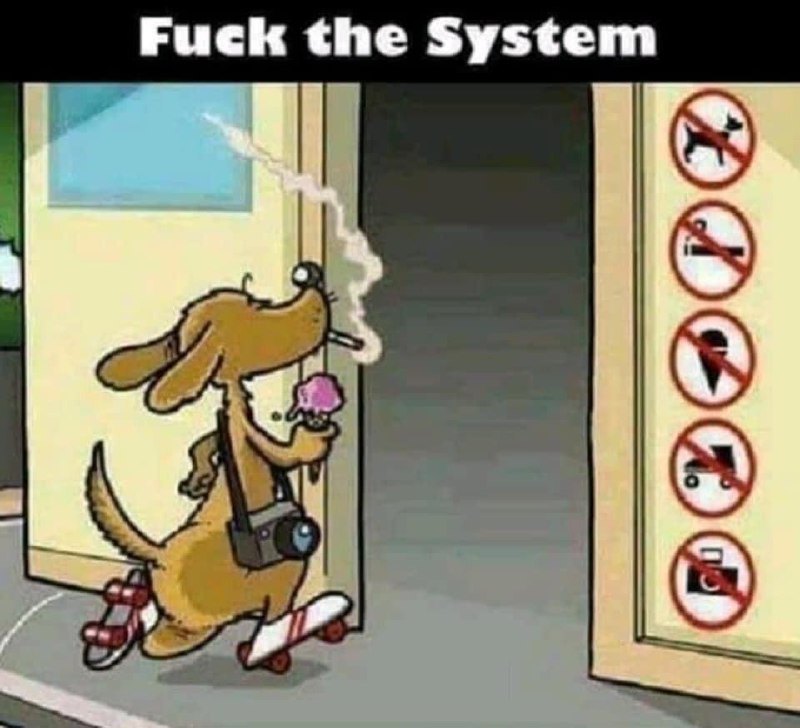 Fuck-the-system